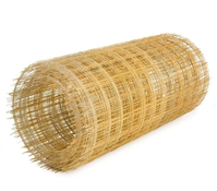 Сетка композитная армирующая 1,2х 10 м (2,5х50х50)
